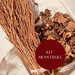 KIT MENSTRUEL